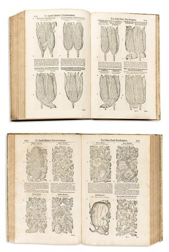 (BOTANICAL -- HERBAL.) Jacob Theodor Tabernaemontanus. Neu Vollkommen Kräuter-Buch.